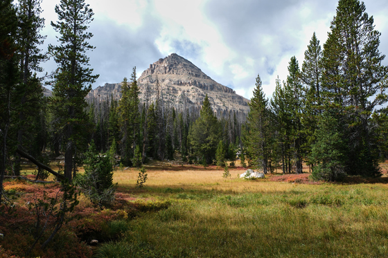 Wasatch National Forest