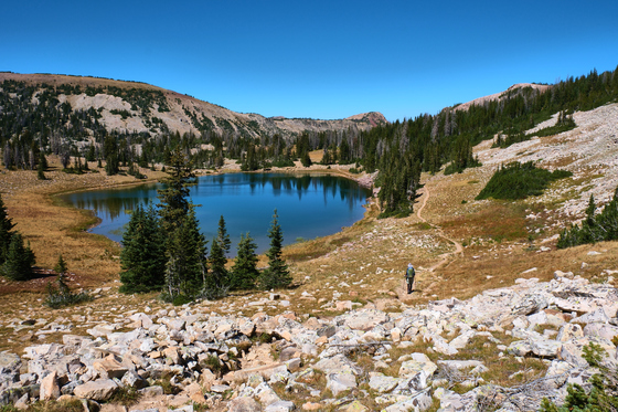 Wasatch National Forest