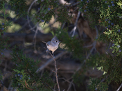 Grand Canyon National Park