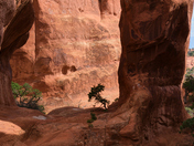 Arches National Park