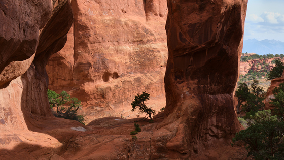 Arches National Park