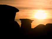 Hoodoo's Silhouette 