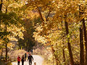 Morning light 🍁🍂🍁