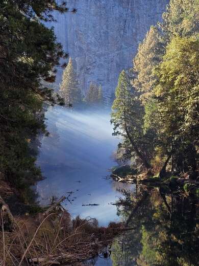 Yosemite National Park