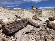 Bisti/De-Na-Zin Wilderness