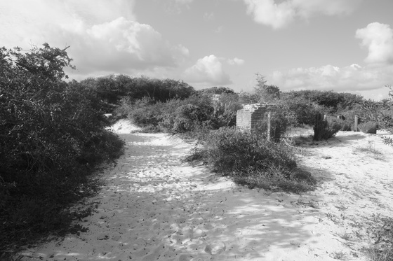 Bon Secour National wildlife refuge