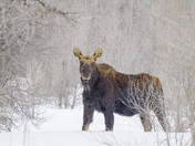 Grand Teton National Park