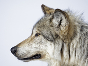 Grand Teton National Park