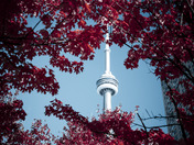 My City 🍁🍂🍁