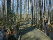 Lake Matamuskeet National Wildlife Refuge