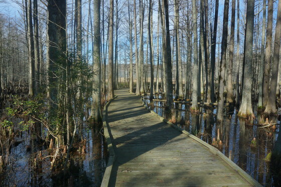 Lake Matamuskeet National Wildlife Refuge