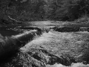 Pisgah National forest