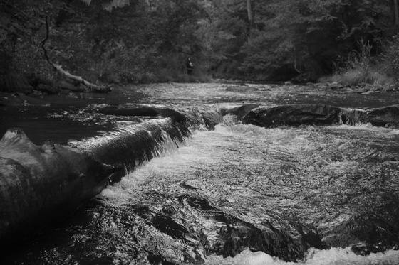 Pisgah National forest
