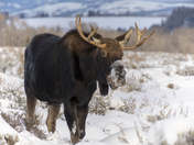 Grand Teton National Park