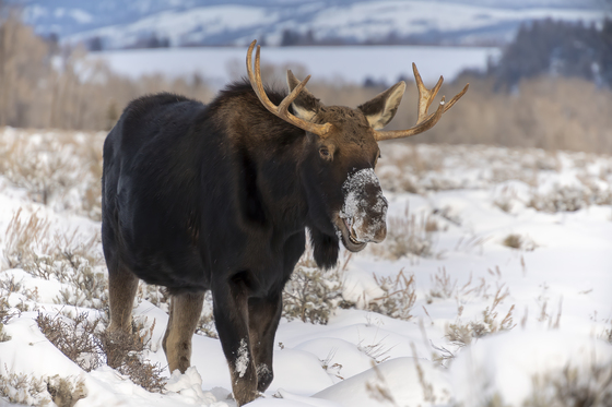 Grand Teton National Park