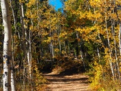 Pike-San Isabel National Forest