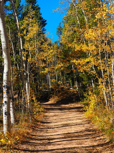 Pike-San Isabel National Forest