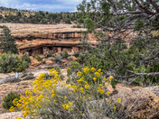 Mesa Verde National Park