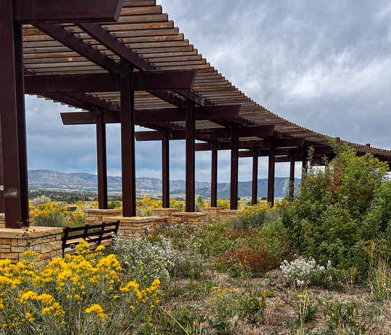 Mesa Verde National Park