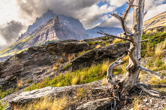 Glacier National Park