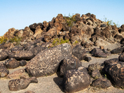 Painted Rock Petroglyph Site