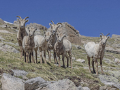 Mt. Evans (now Mt. Bluesky)