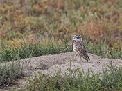 Crescent Lake National Wildlife Refuge
