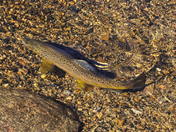 Rocky Mountain National Park