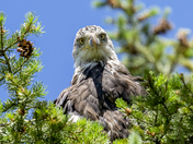 Grand Teton National Park