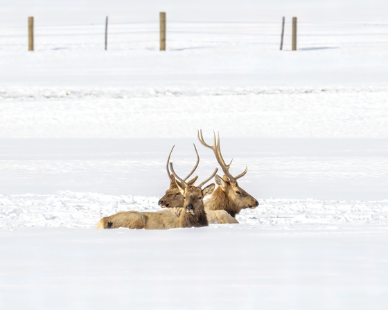 Grand Teton National Park