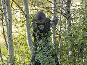 Grand Teton National Park