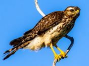 Everglades National Park