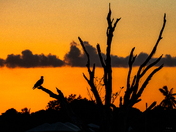 Everglades National Park