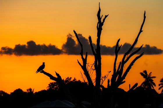 Everglades National Park