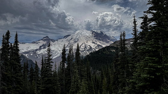 Mt Rainier National Park