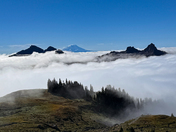 Mt Rainier National Park