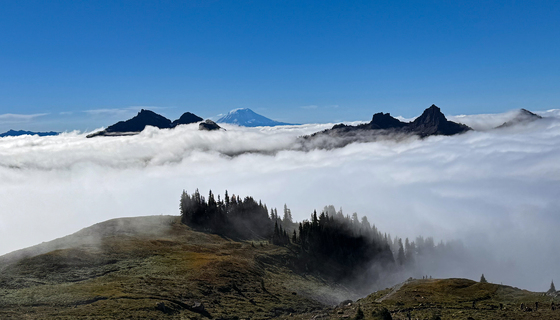 Mt Rainier National Park