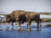 Grand Teton National Park