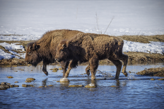 Grand Teton National Park