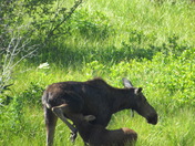Grand Teton National Park