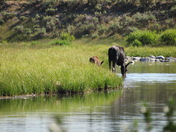 Grand Teton National Park