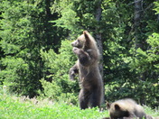 Grand Teton National Park