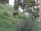 Grand Teton National Park