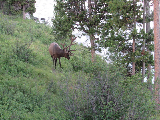 Grand Teton National Park