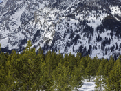 Grand Teton National Park