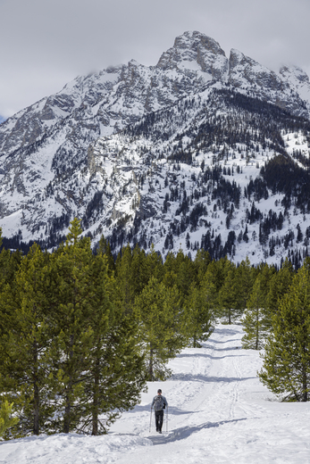 Grand Teton National Park