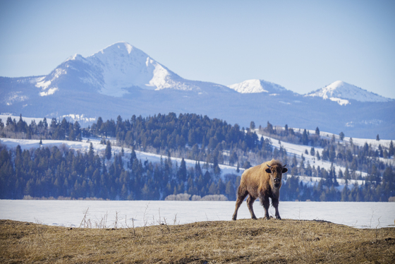 Grand Teton National Park