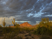 Tonto National Forest