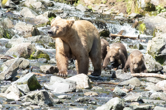 Lake Clark National Park