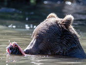 Lake Clark National Park